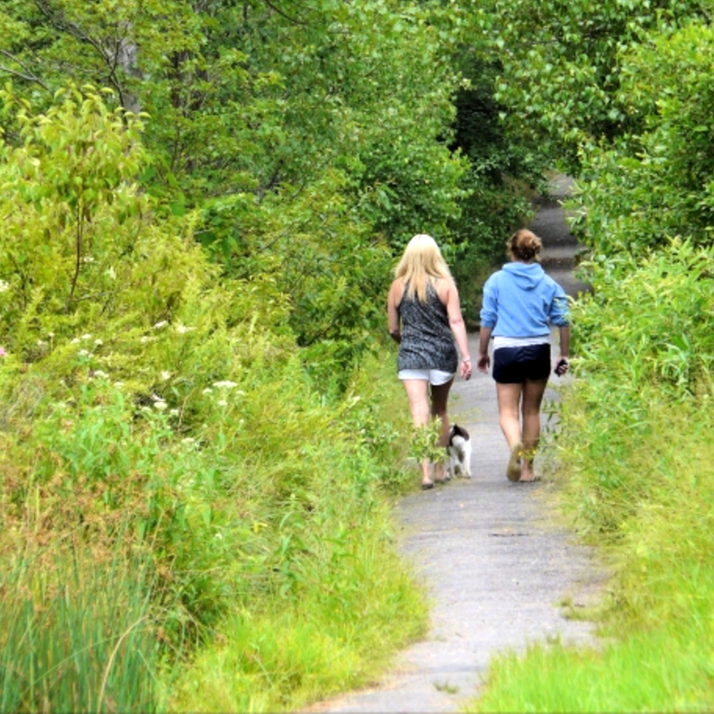 Walking on a trail in Central MN