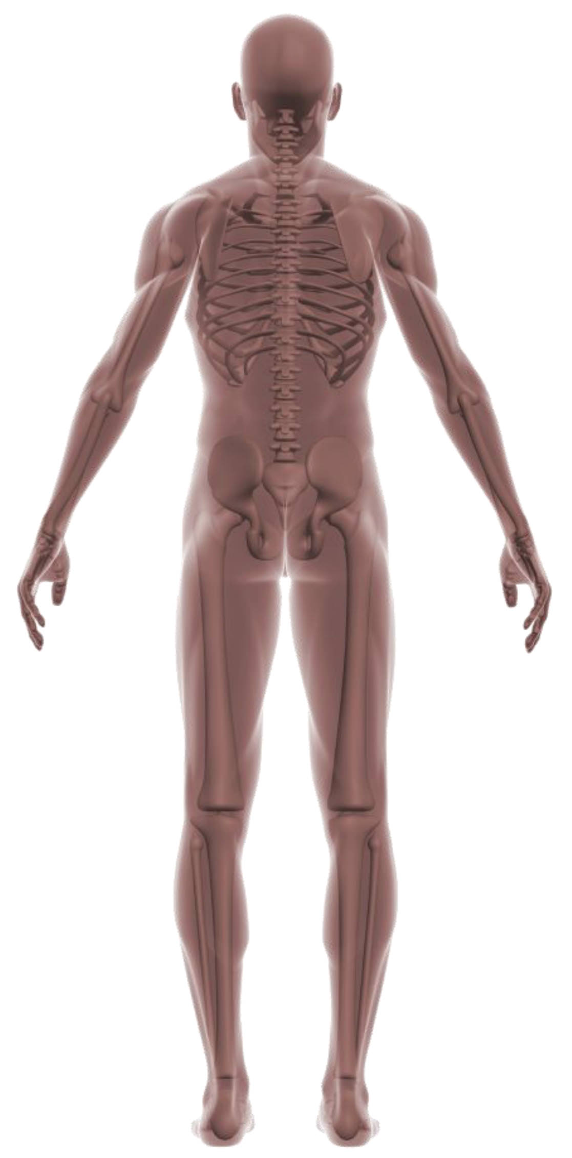 Body image